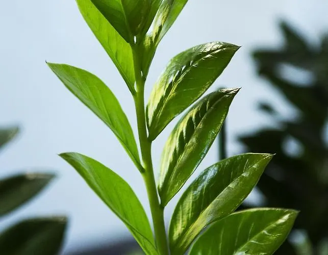 Interhotel Szálloda Wrocław