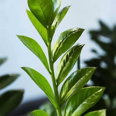 Interhotel Hotel Wrocław